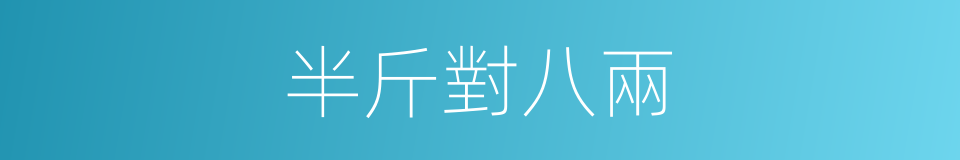 半斤對八兩的意思