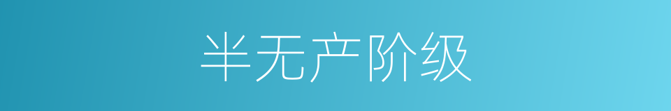 半无产阶级的意思