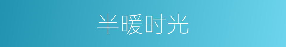 半暖时光的同义词