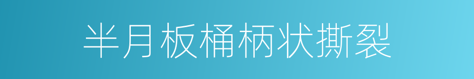 半月板桶柄状撕裂的同义词