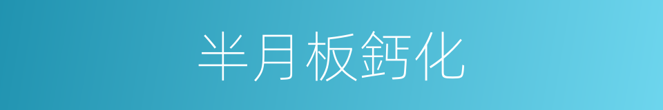 半月板鈣化的同義詞