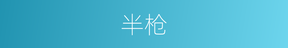 半枪的同义词
