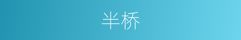 半桥的同义词