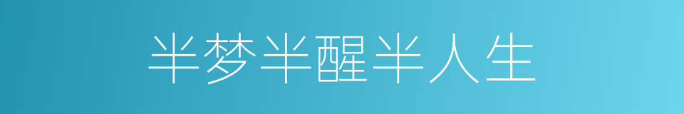 半梦半醒半人生的同义词