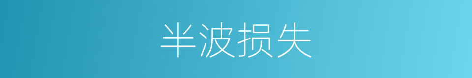 半波损失的同义词
