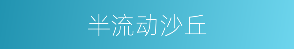 半流动沙丘的同义词