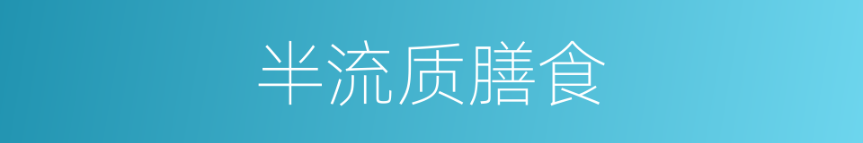 半流质膳食的同义词