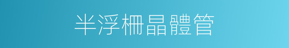 半浮柵晶體管的同義詞