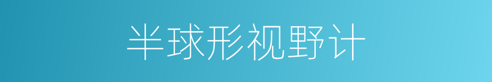半球形视野计的同义词