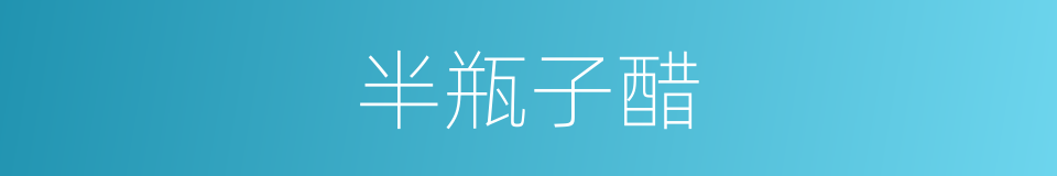 半瓶子醋的意思