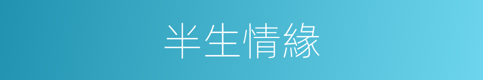 半生情緣的同義詞