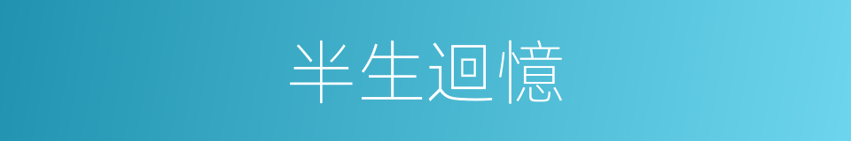 半生迴憶的同義詞