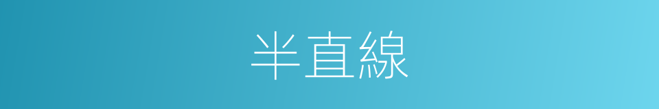 半直線的意思