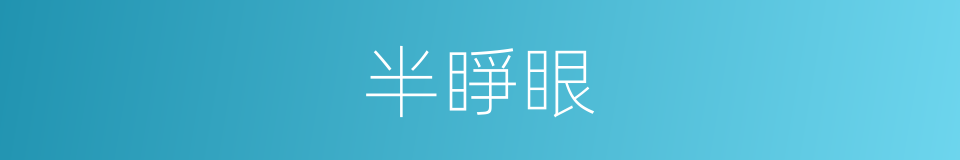半睜眼的同義詞