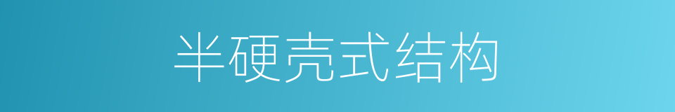 半硬壳式结构的同义词