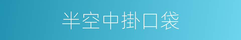 半空中掛口袋的同義詞