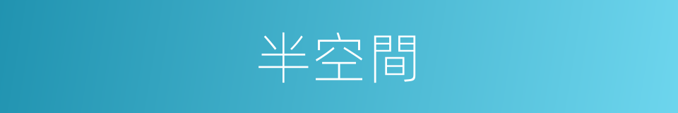 半空間的同義詞