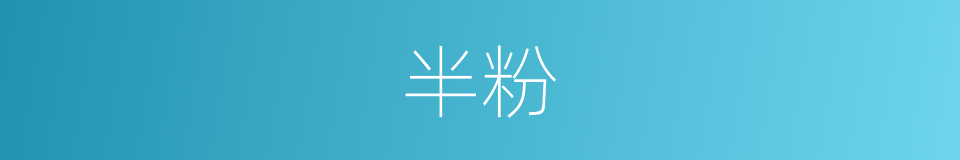 半粉的同义词