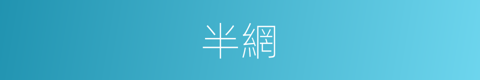 半網的同義詞