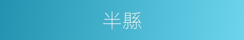 半縣的同義詞