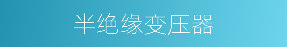 半绝缘变压器的同义词