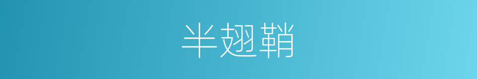 半翅鞘的同义词