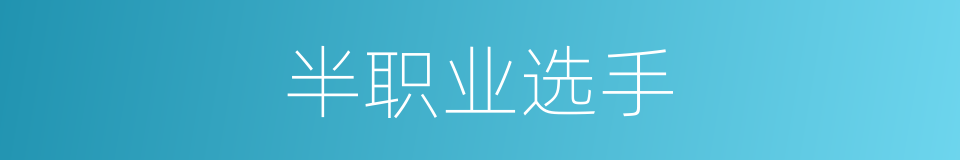 半职业选手的同义词