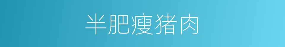 半肥瘦猪肉的同义词