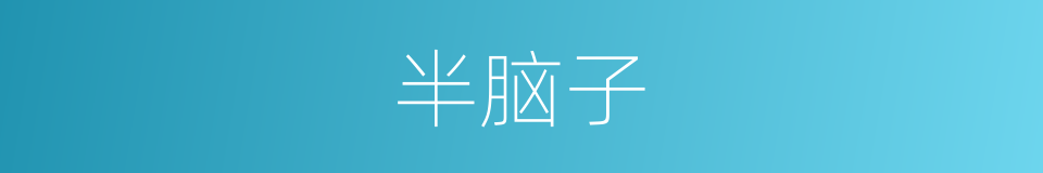 半脑子的意思