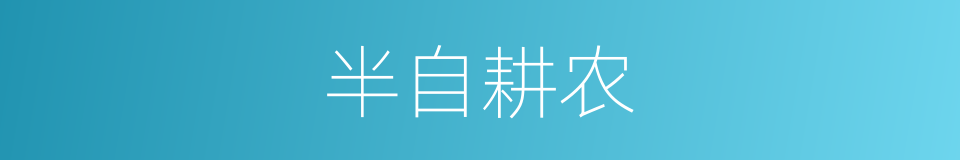 半自耕农的意思