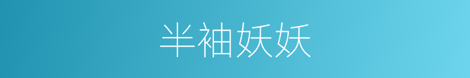 半袖妖妖的同义词