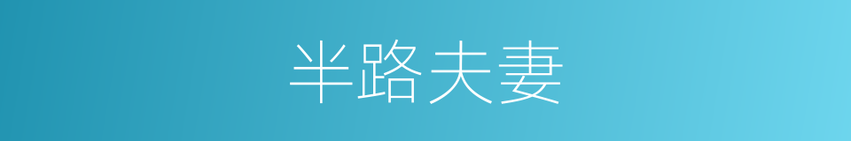 半路夫妻的意思