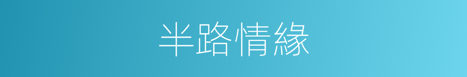 半路情緣的同義詞