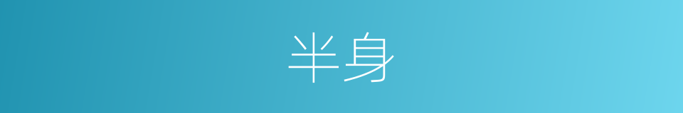 半身的意思