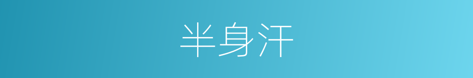 半身汗的同义词