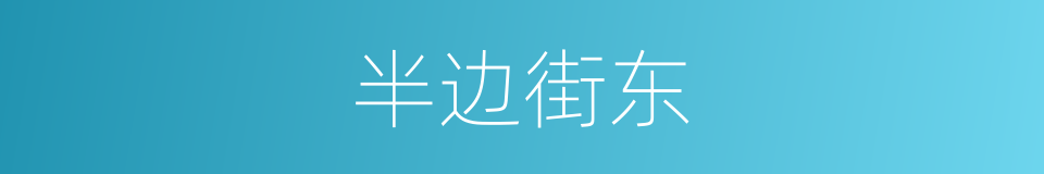 半边街东的同义词