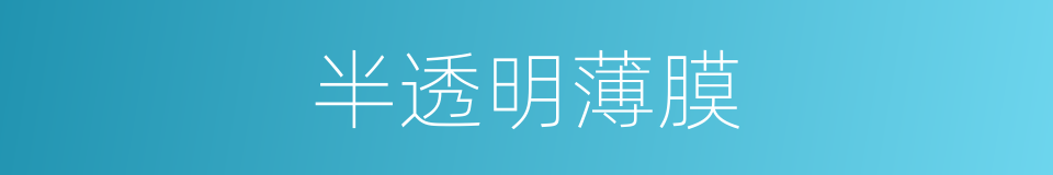 半透明薄膜的同义词