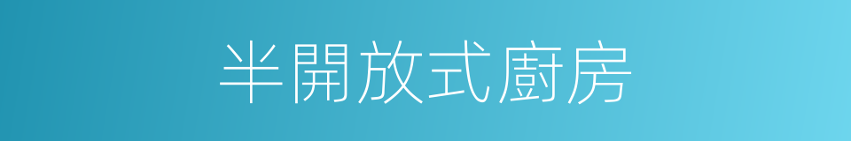 半開放式廚房的同義詞