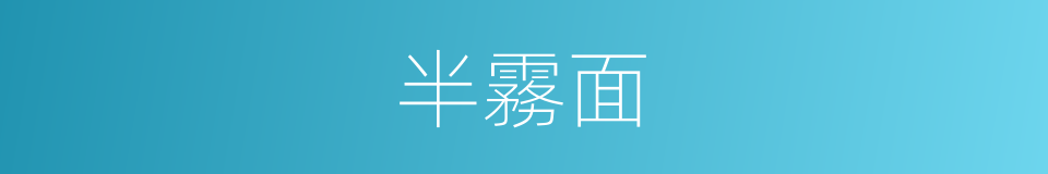 半霧面的同義詞