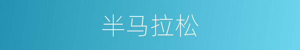 半马拉松的同义词