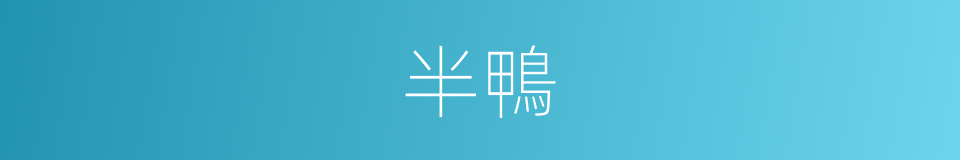 半鴨的同義詞