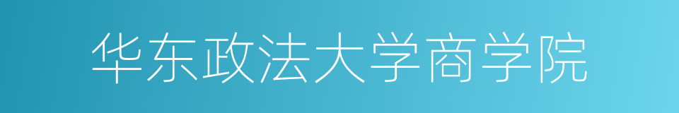 华东政法大学商学院的同义词