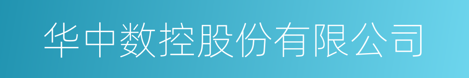 华中数控股份有限公司的同义词