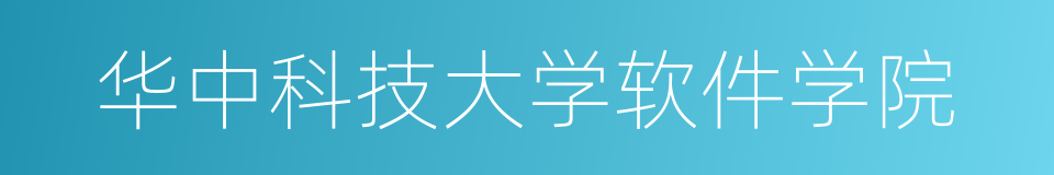 华中科技大学软件学院的同义词