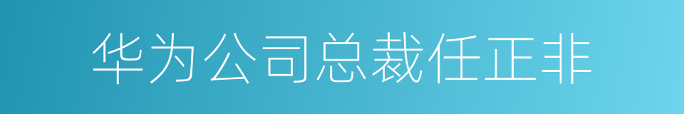 华为公司总裁任正非的同义词