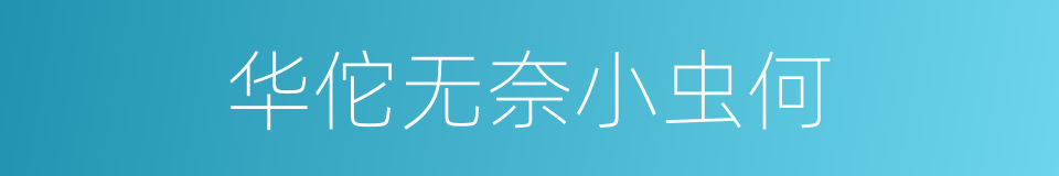 华佗无奈小虫何的同义词