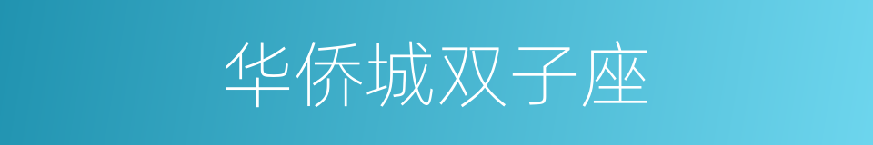 华侨城双子座的同义词