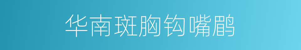 华南斑胸钩嘴鹛的同义词