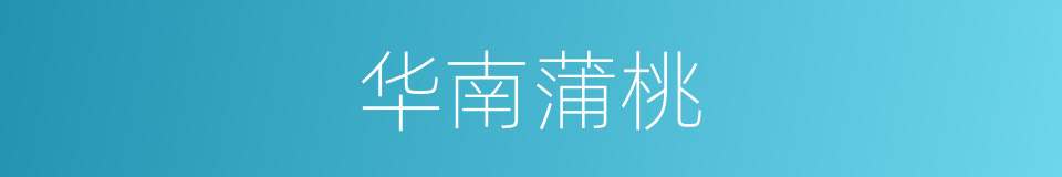 华南蒲桃的同义词
