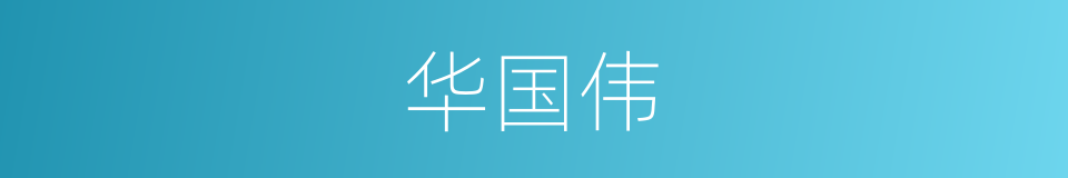 华国伟的同义词